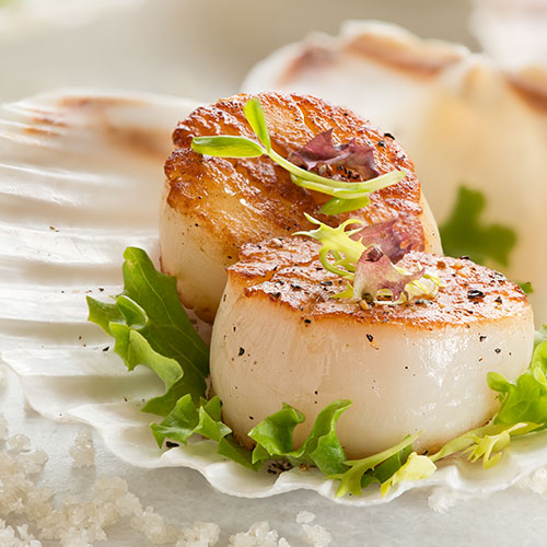 All Natural Scallops