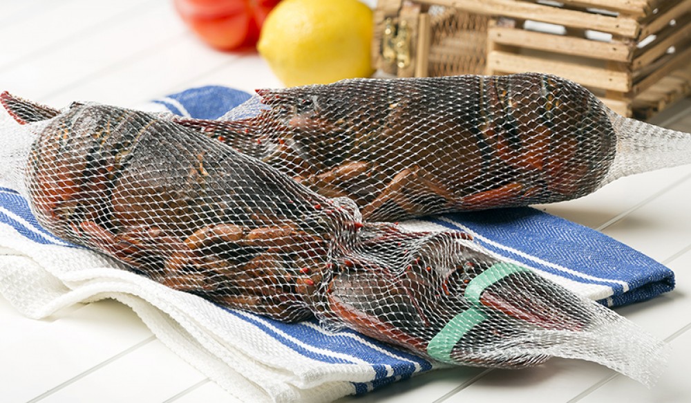 East Coast Seafood Group - Whole Cooked Netted Lobsters, Frozen