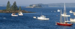 Maine’s long lobster fishing season affecting scallop prices